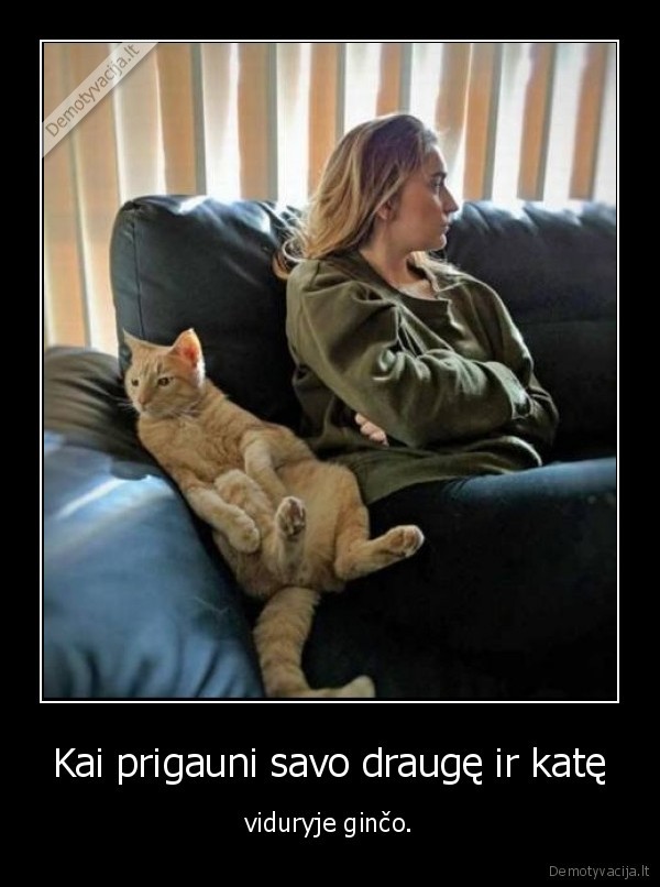 Kai prigauni savo draugę ir katę - viduryje ginčo.. 