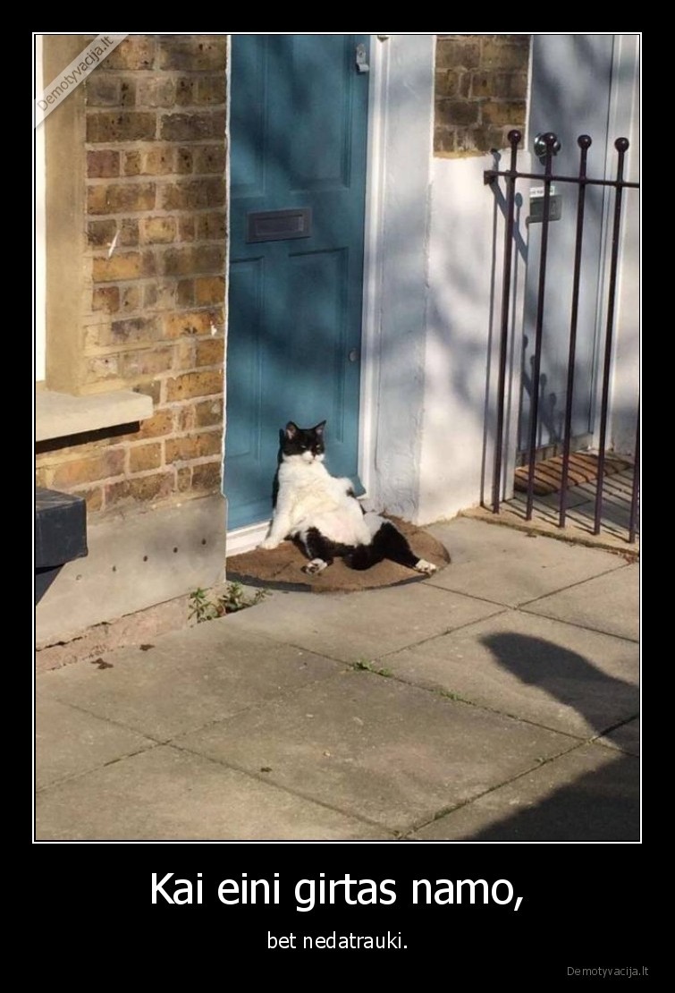 Kai eini girtas namo, - bet nedatrauki.. 