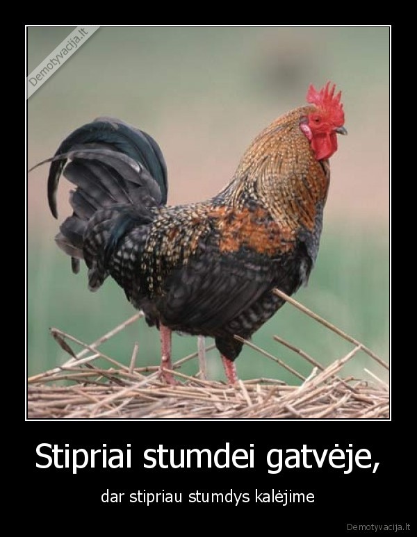 Stipriai stumdei gatvėje, - dar stipriau stumdys kalėjime. 