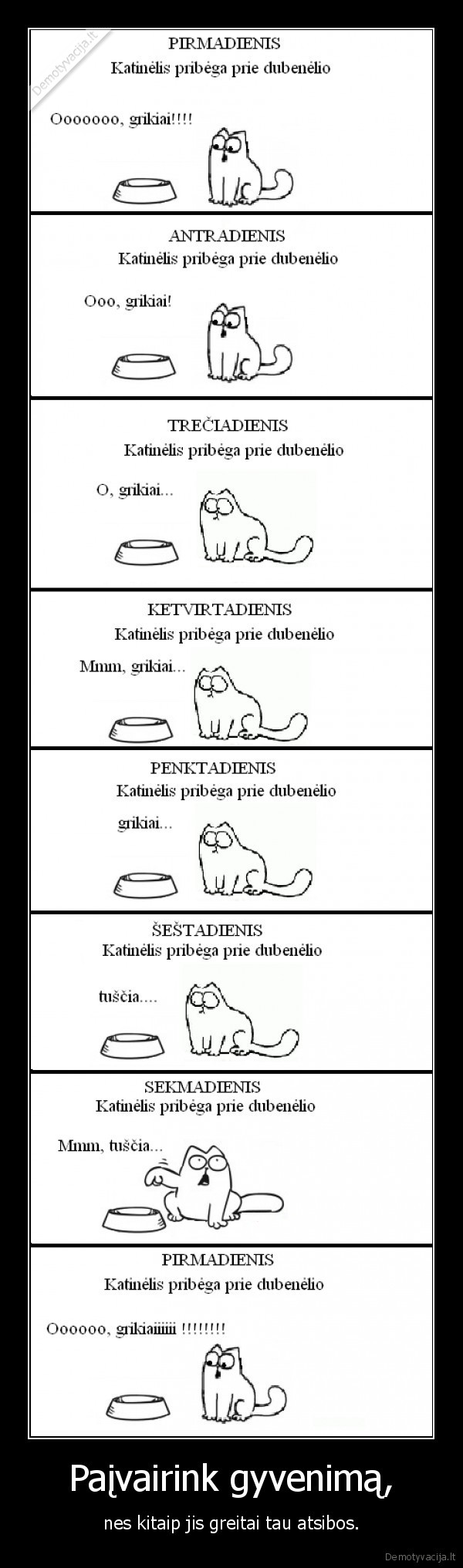 Paįvairink gyvenimą, - nes kitaip jis greitai tau atsibos.. 