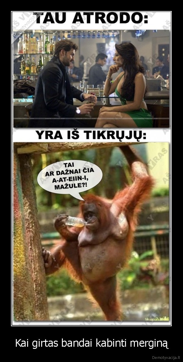 Kai girtas bandai kabinti merginą. 