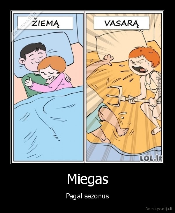 Miegas - Pagal sezonus. 