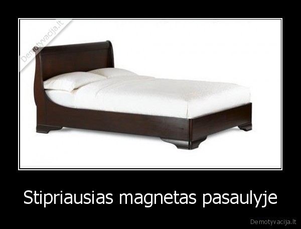 Stipriausias magnetas pasaulyje. 