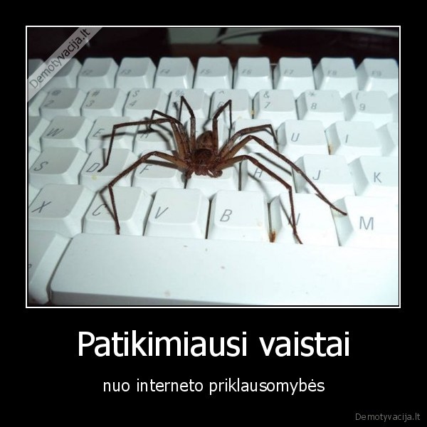 Patikimiausi vaistai - nuo interneto priklausomybės. 