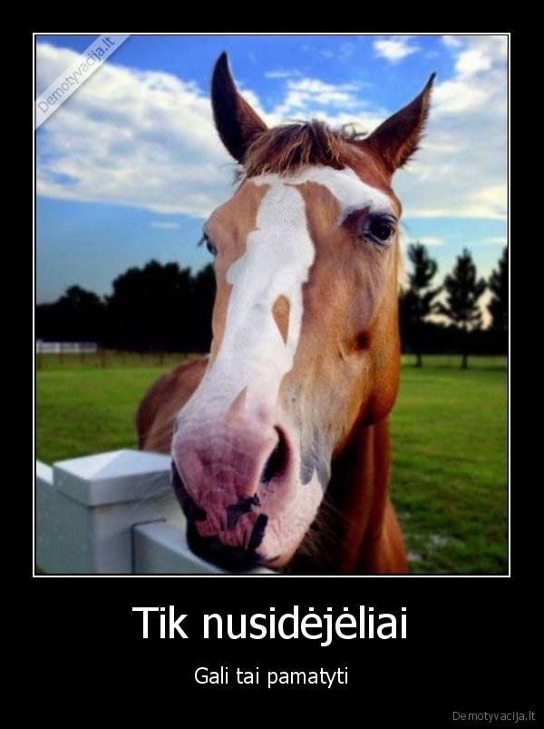 Tik nusidėjėliai - Gali tai pamatyti