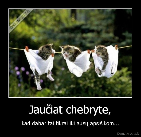 Jaučiat chebryte, - kad dabar tai tikrai iki ausų apsišikom...