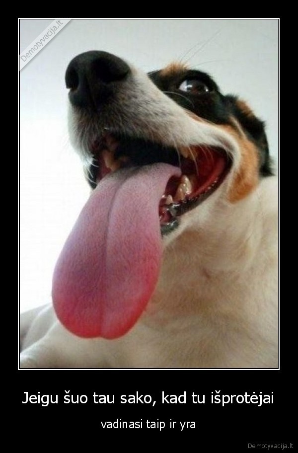 Jeigu šuo tau sako, kad tu išprotėjai - vadinasi taip ir yra