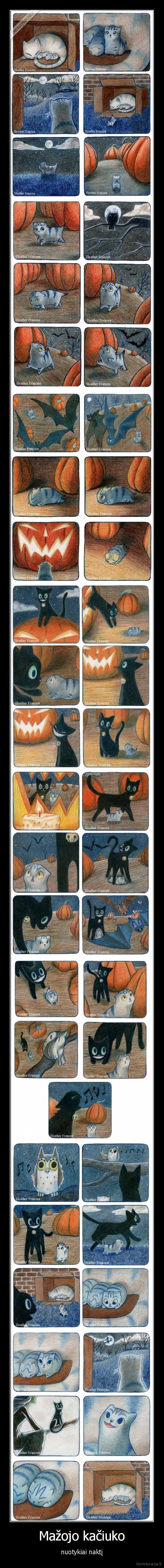 Mažojo kačiuko - nuotykiai naktį. 