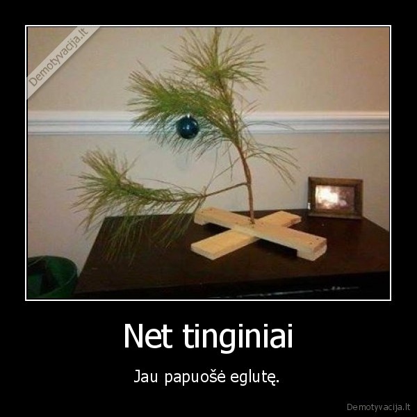 Net tinginiai - Jau papuošė eglutę.. 