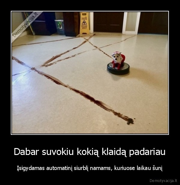 Dabar suvokiu kokią klaidą padariau - Įsigydamas automatinį siurblį namams, kuriuose laikau šunį. 